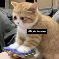 شهر اسکول بازی