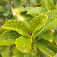 ༻𓊈𒆜 ᏕᏦ.3 𒆜𓊉༺