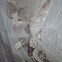 رقص زندگی